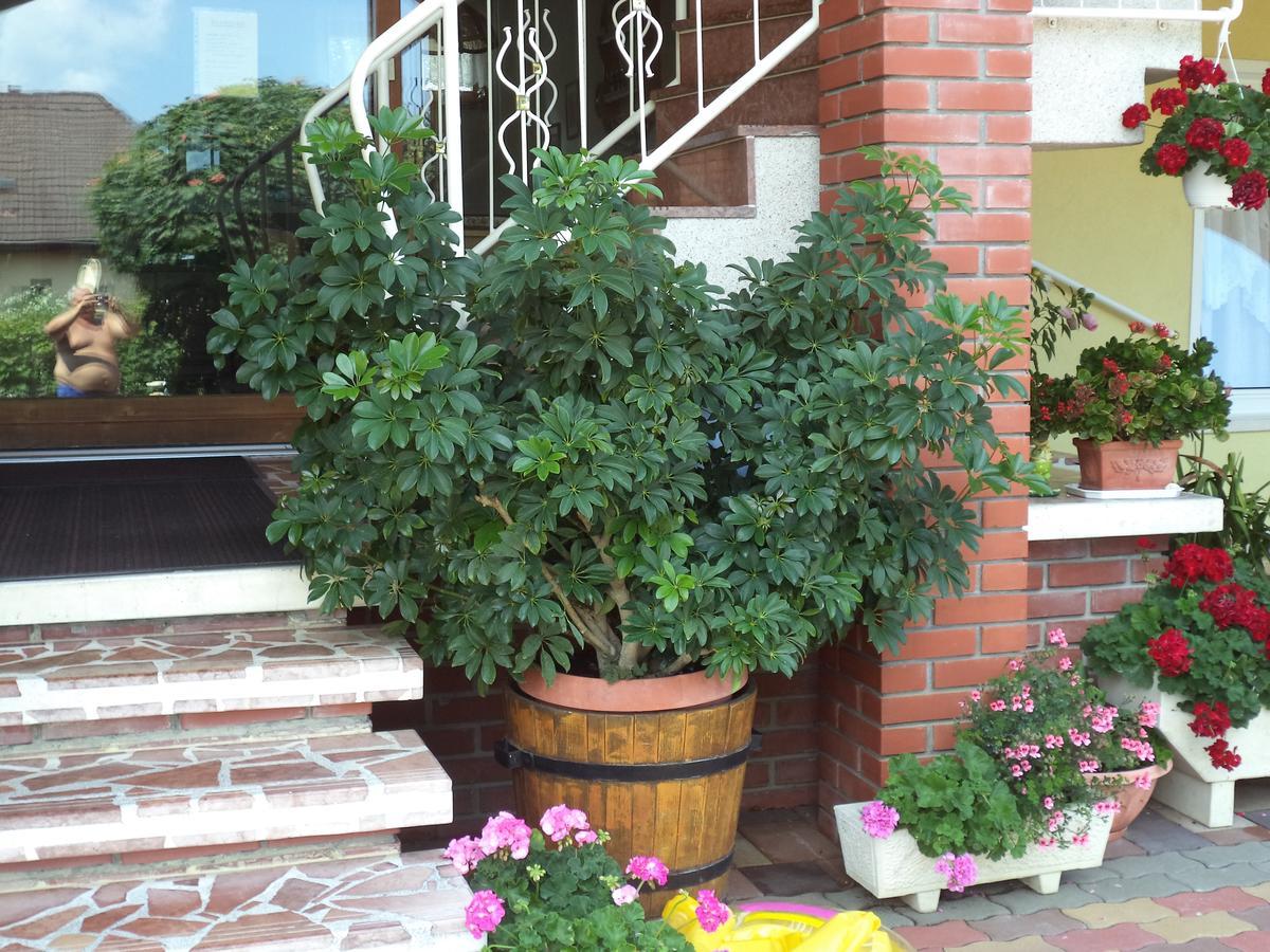 Holp Panzio Hotel Balatonföldvár Exterior foto